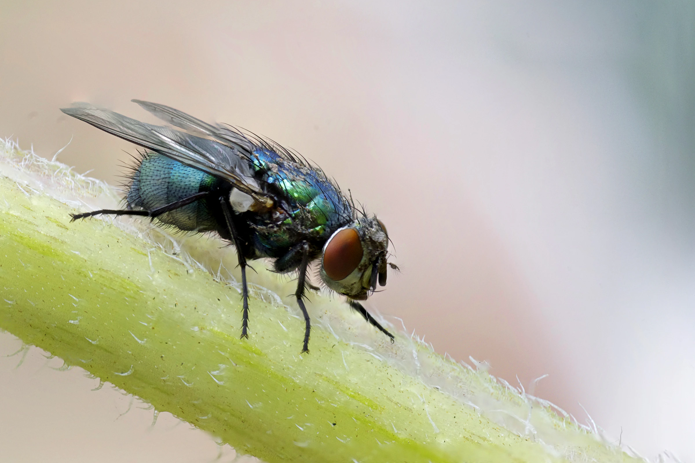 Philip Veater_1776241169664_unsplash_id_X4DAtPvhgwo.webp